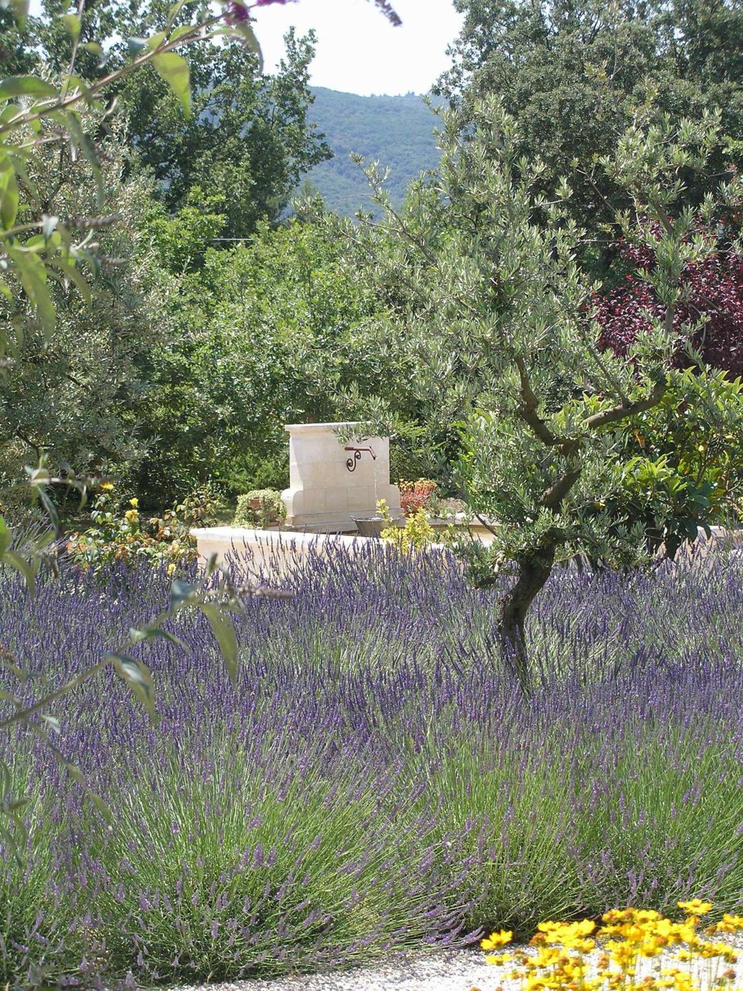Clos Des Lavandes - Chambres Et Suites De Charme Climatisees-Luberon Lacoste  Zewnętrze zdjęcie