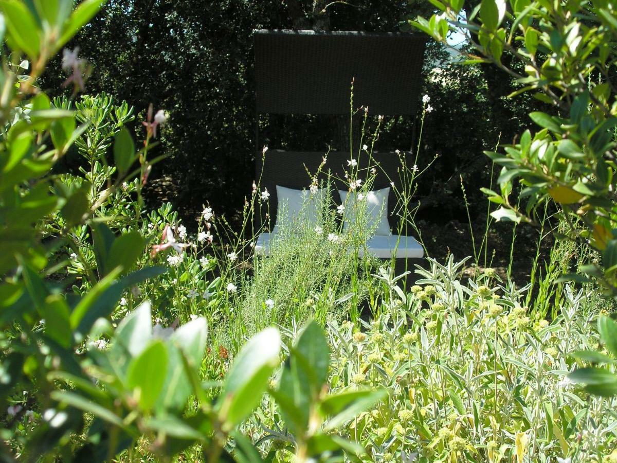 Clos Des Lavandes - Chambres Et Suites De Charme Climatisees-Luberon Lacoste  Zewnętrze zdjęcie