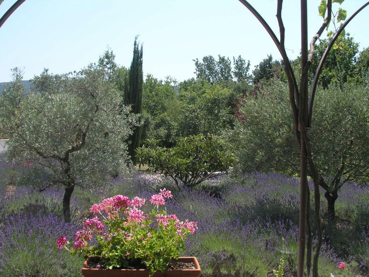 Clos Des Lavandes - Chambres Et Suites De Charme Climatisees-Luberon Lacoste  Zewnętrze zdjęcie