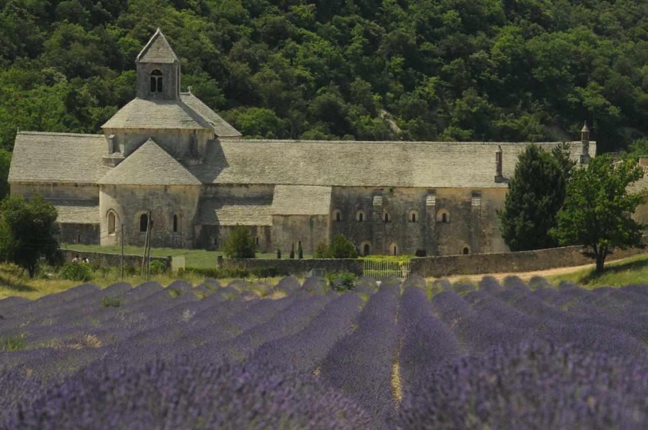 Clos Des Lavandes - Chambres Et Suites De Charme Climatisees-Luberon Lacoste  Zewnętrze zdjęcie